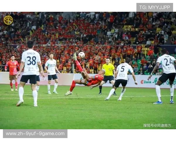 足球赛事中的观众文化与球迷互动