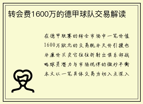 转会费1600万的德甲球队交易解读